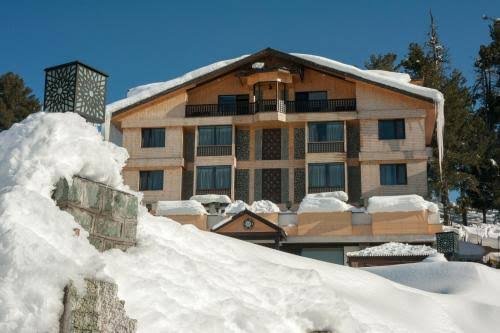 THE VINTAGE GULMARG