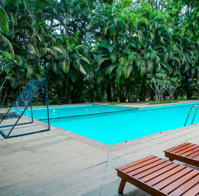 Greenwoods Resort Thekkady - Kondody Hotels
